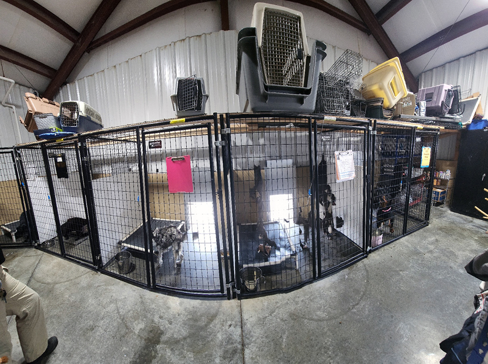 Raymore Animal Shelter in 'dire need' - Raymore Journal and News